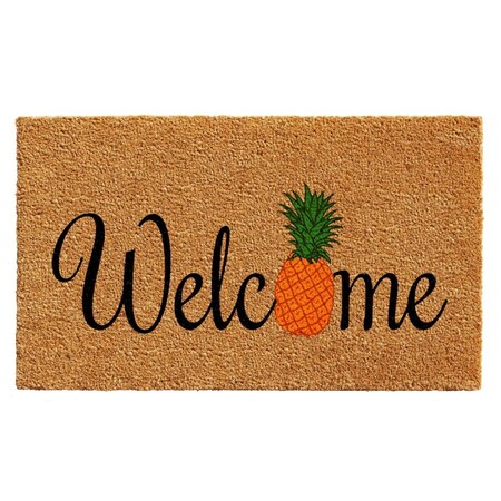 Configuracion 17 x 29 in. Pineapple Fun Rectangular Doormat Multi Color CO3369400